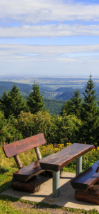 Rennsteigwanderung Der Schneekopf