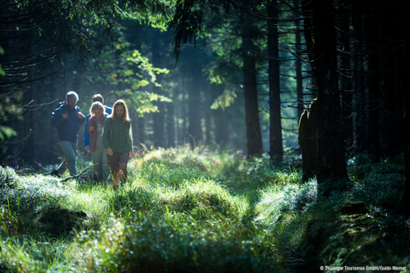 Rennsteig Wanderweg 3