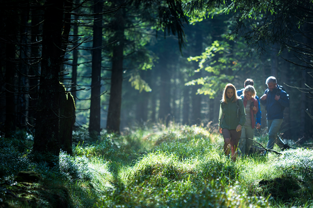 Thüringer Wald